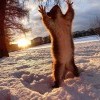 Греется на солнышке