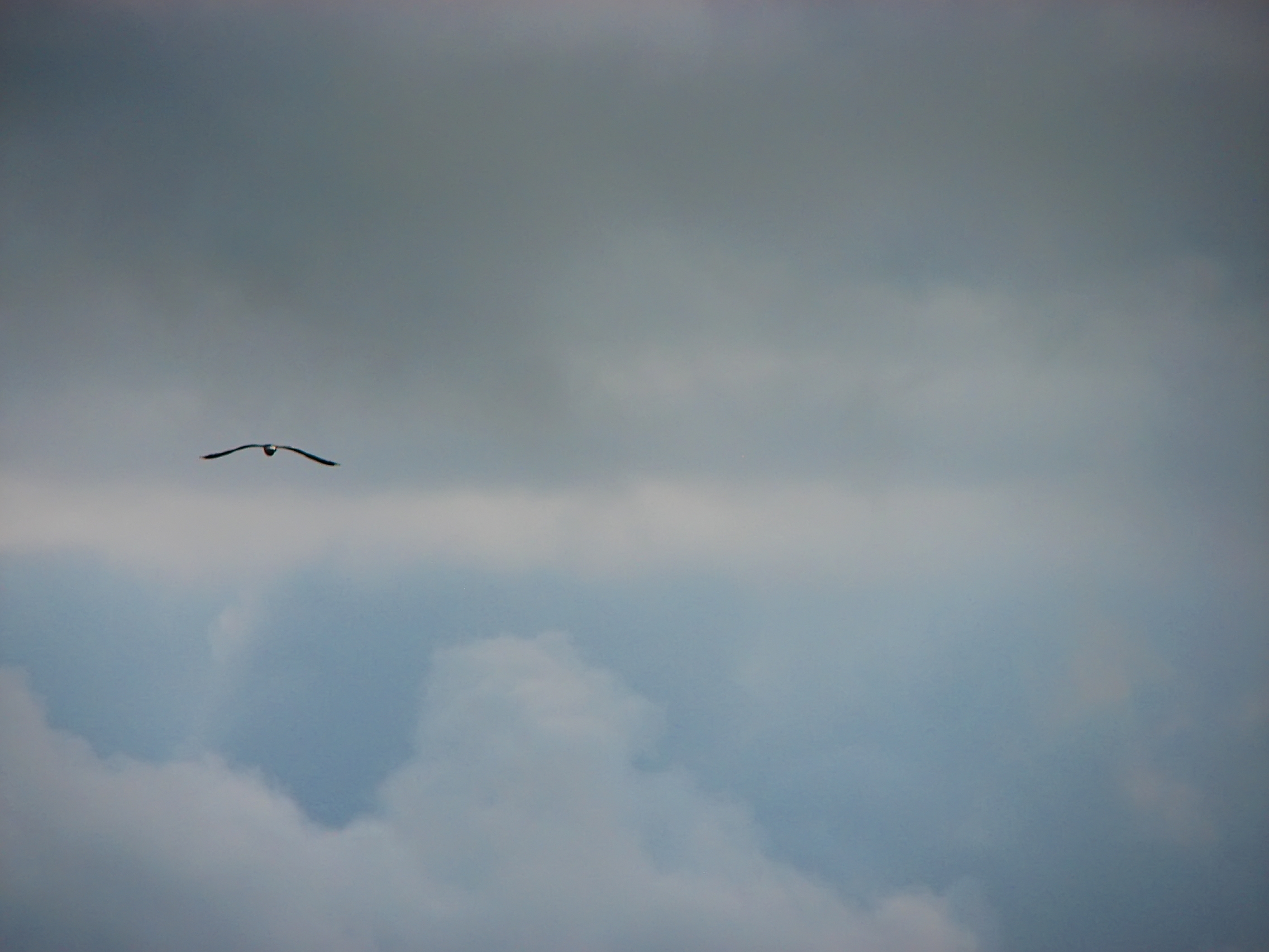 Порт Байкал 2012 (72)