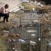 ловись рыбка