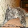 7b6dde667e44863abe6b7e64d6c prev