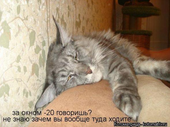 7b6dde667e44863abe6b7e64d6c prev