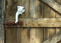 ограбление со взломом ограбление со взломом
