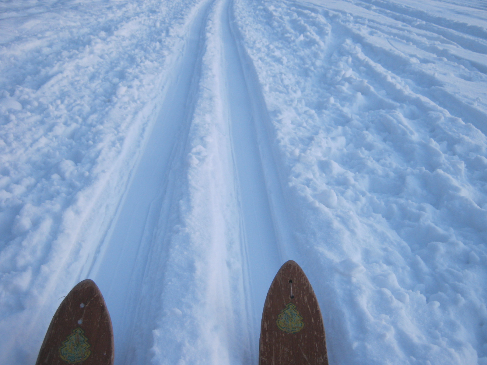 Лыжня зовет!