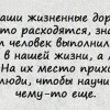 Жизненные дорожки Жизненные дорожки