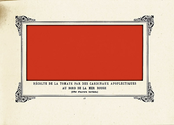 Уборка урожая помидоров на берегу Красного моря апоплексическими кардиналами