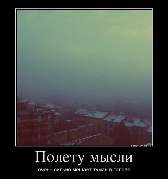 Полет мысли