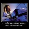 Бессмертный пони Бессмертный пони