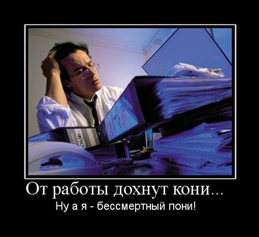 Бессмертный пони