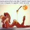 Женщина как мёд Женщина как мёд