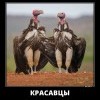 Красавцы Красавцы
