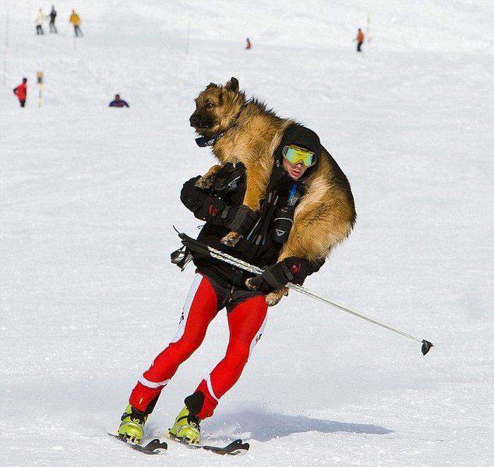 Вдруг ЧП, а я уставшая)))))))