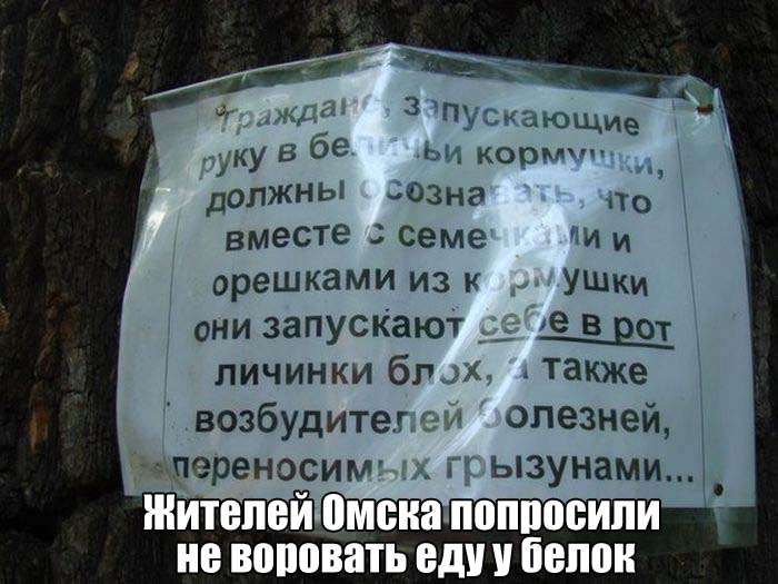 Рука запускающая