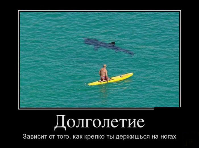 Долголетие