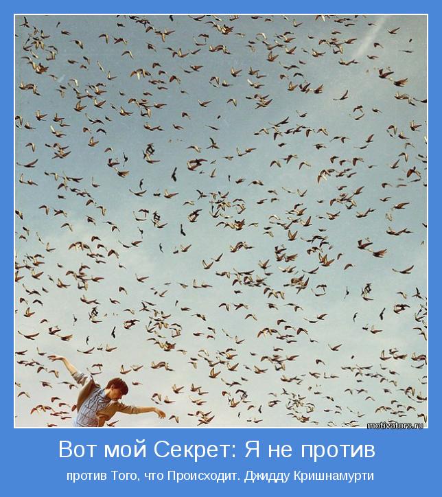 Вот мой секрет