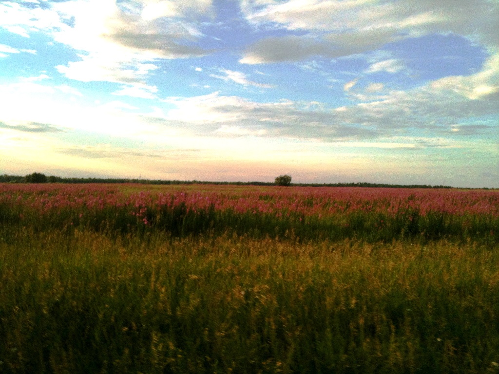 июль 2013