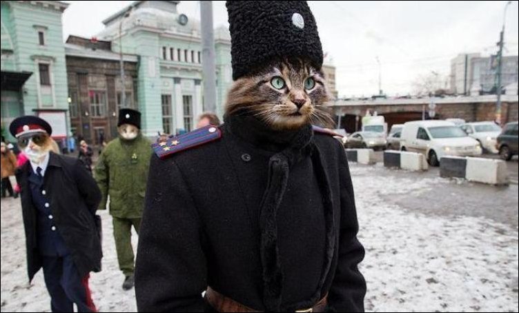 наш час пробил..