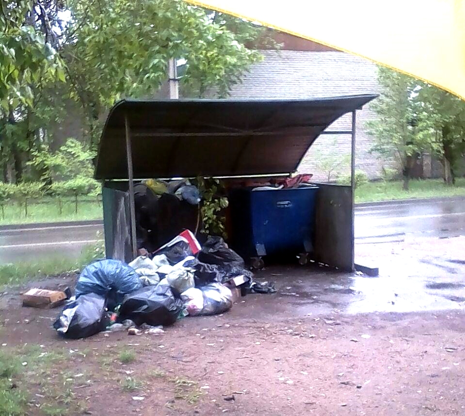 Проблема мусора в Чите