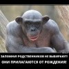 Родственники