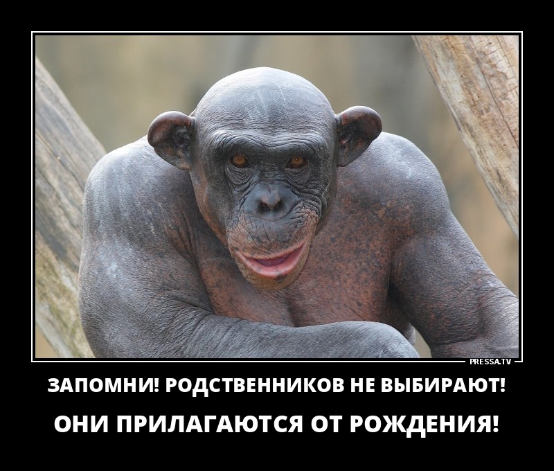 Родственники