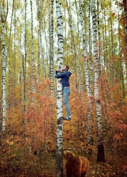 Смеркалось