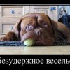 Безудержное веселье