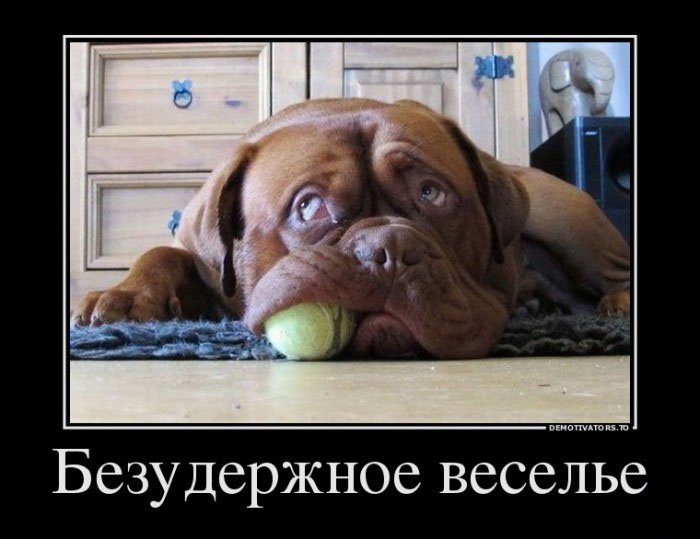 Безудержное веселье