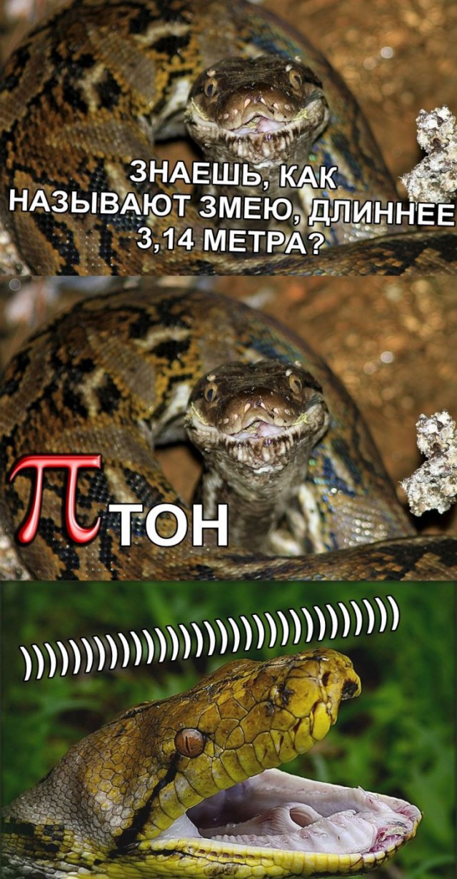 пиииитон)))))