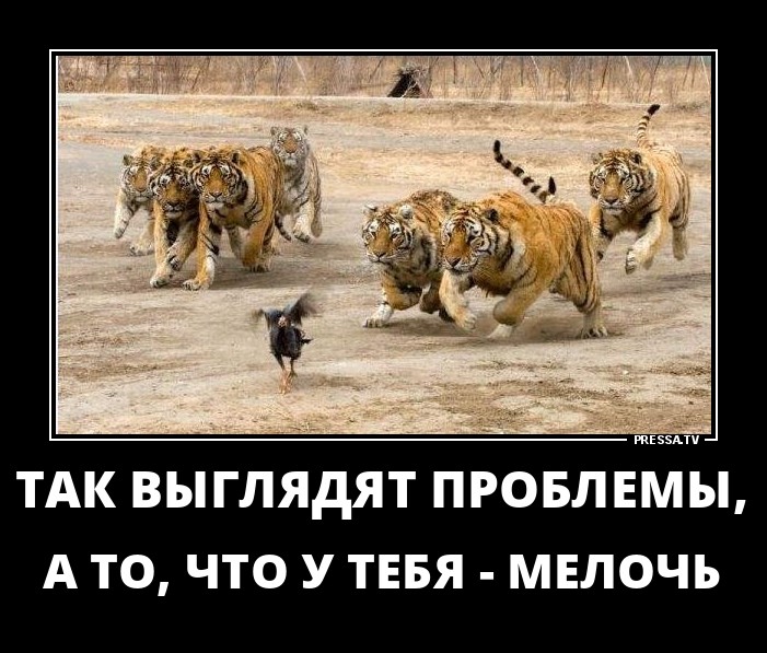 Так выглядя поблемы