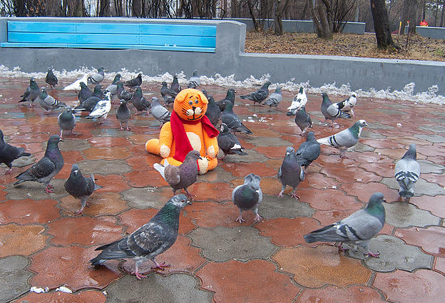 Гули меня полюбили