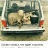 Предчувствие Предчувствие