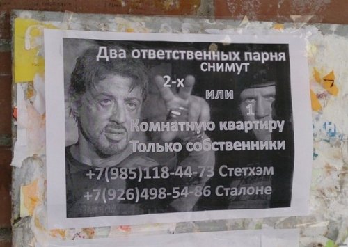 8335156yfj