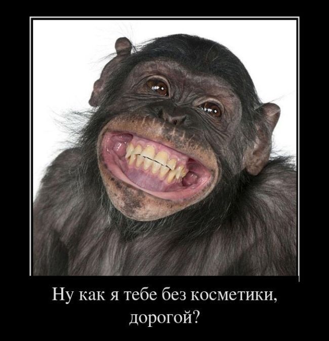 Без косметики