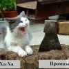 )))