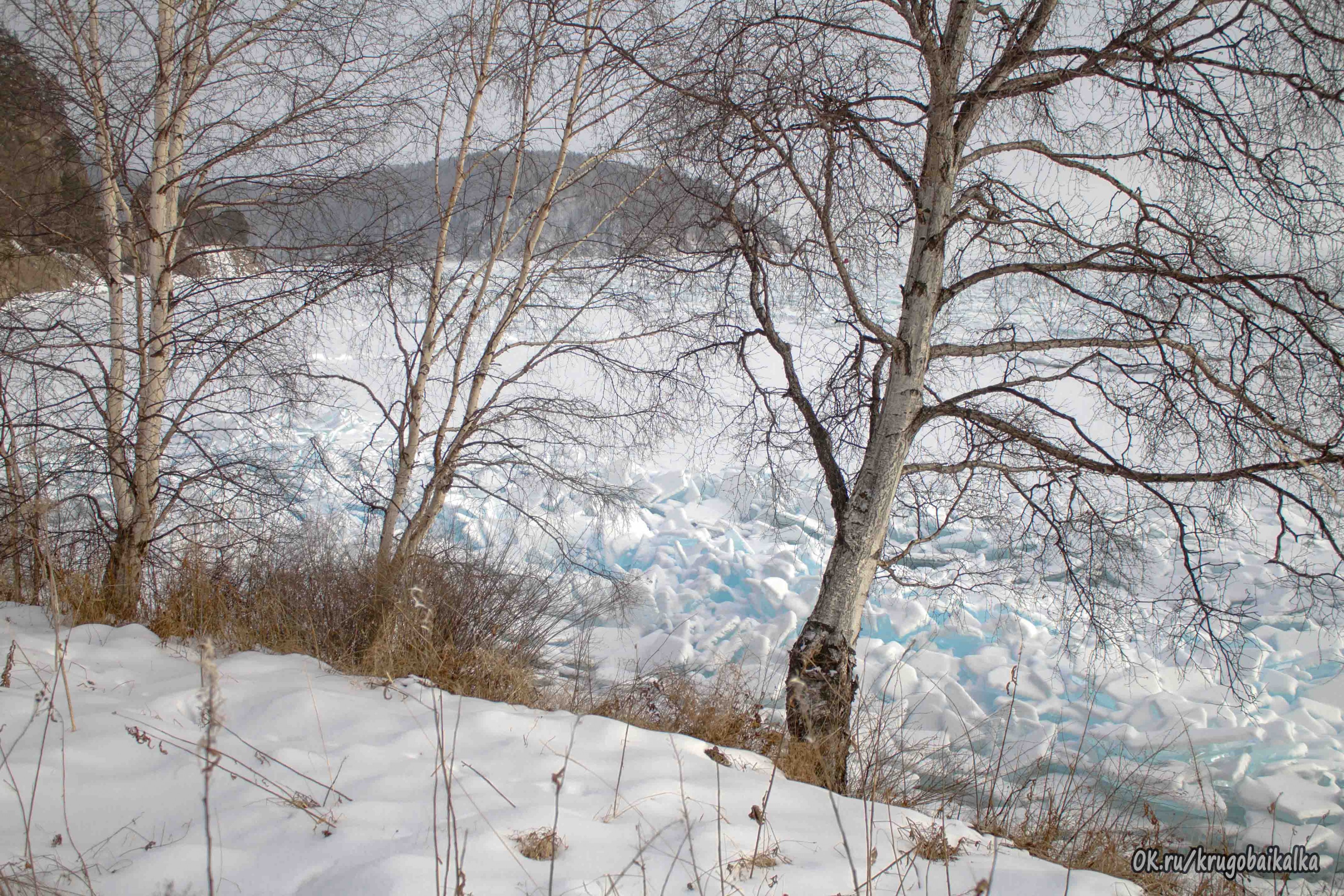 С видом на мыс Половинный