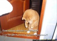 Вечеринка удалась))
