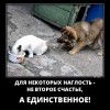 Наглость