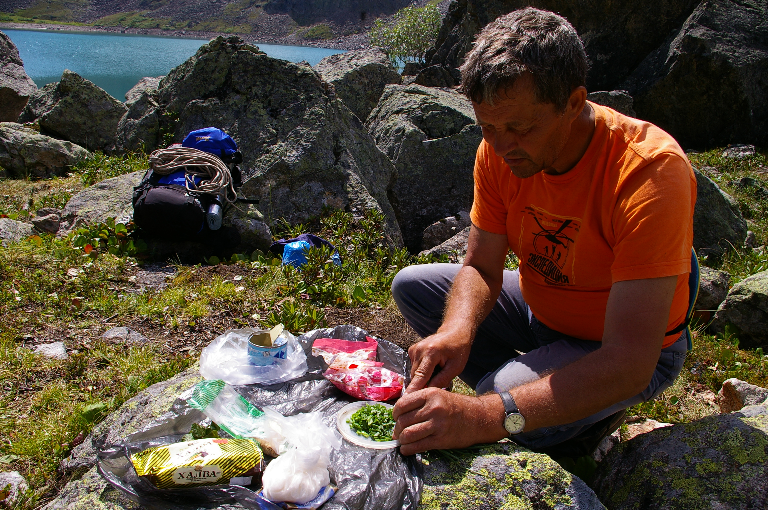 крошим свежесобранный лучок