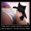 Попа Попа