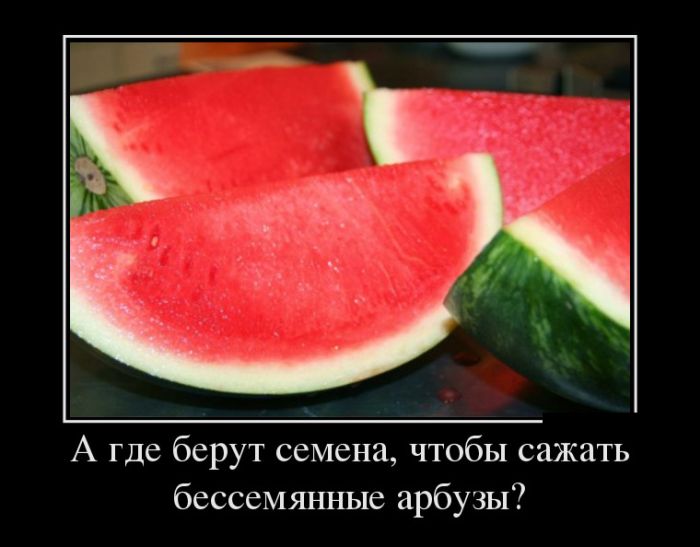 Арбузы