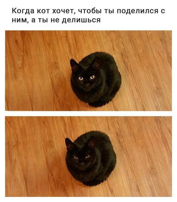 Поделись