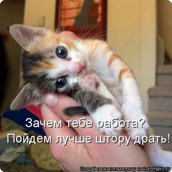 A4da63a4c22ec2acb5dc9c05387 prev