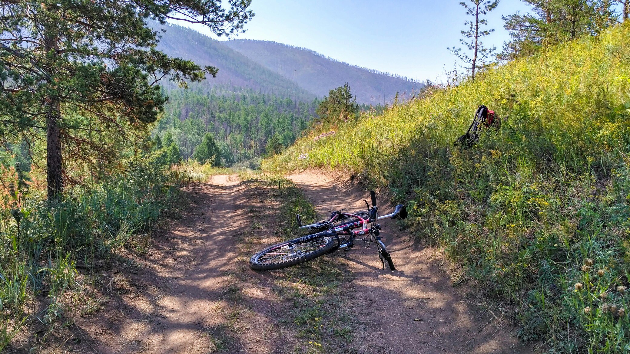 По дороге в Ташкиней