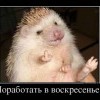 Работа в воскресенье Работа в воскресенье