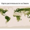 Карта ростительности на Земле