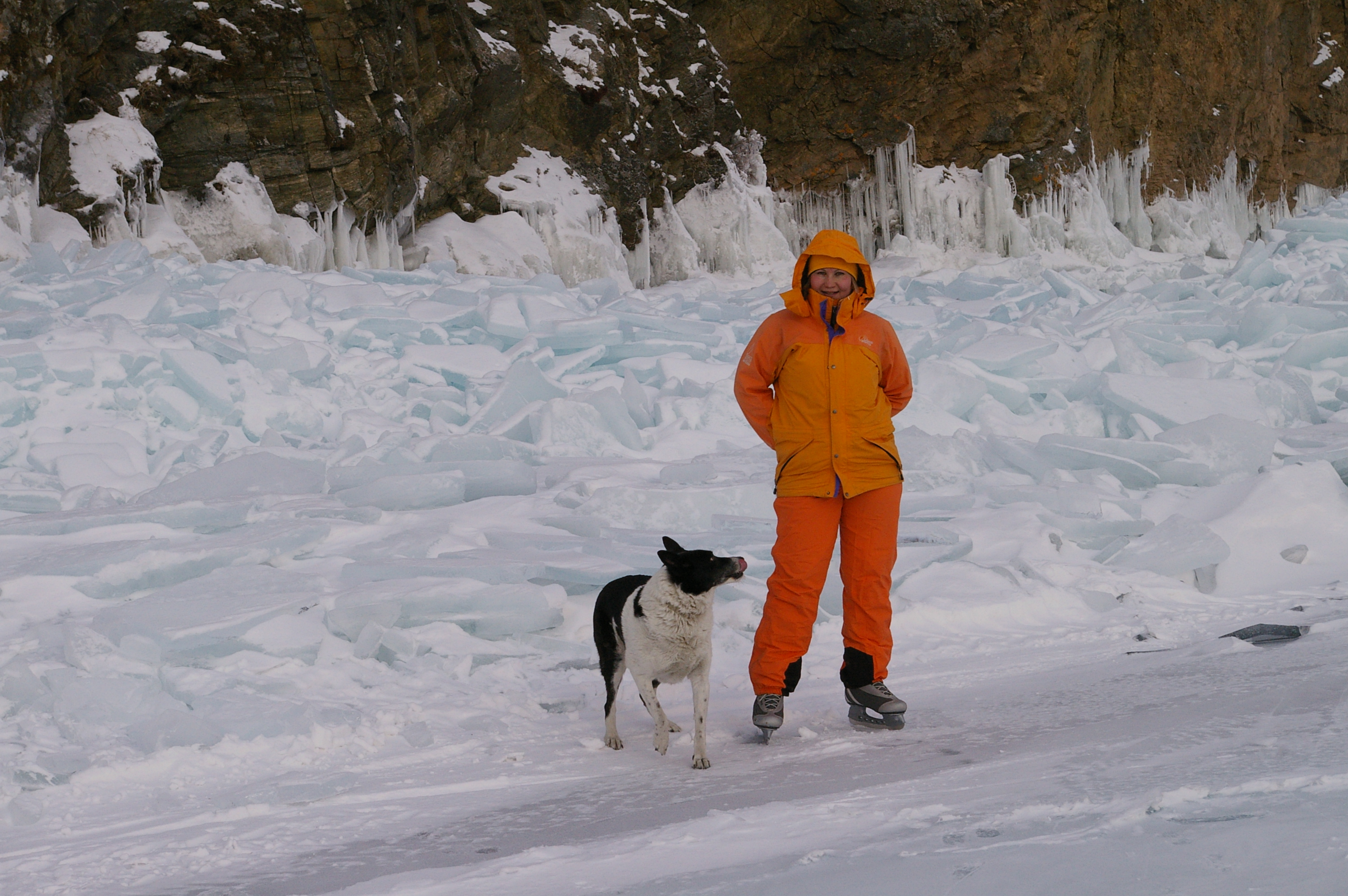 коньки собаке ни к чему