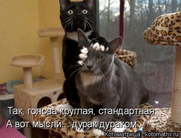 074642ec39368fd84b2bf3a76d8 prev