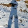 Сирёгина позднеосенняя тень)))))) Сирёгина позднеосенняя тень))))))