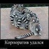 Корпоратив удался