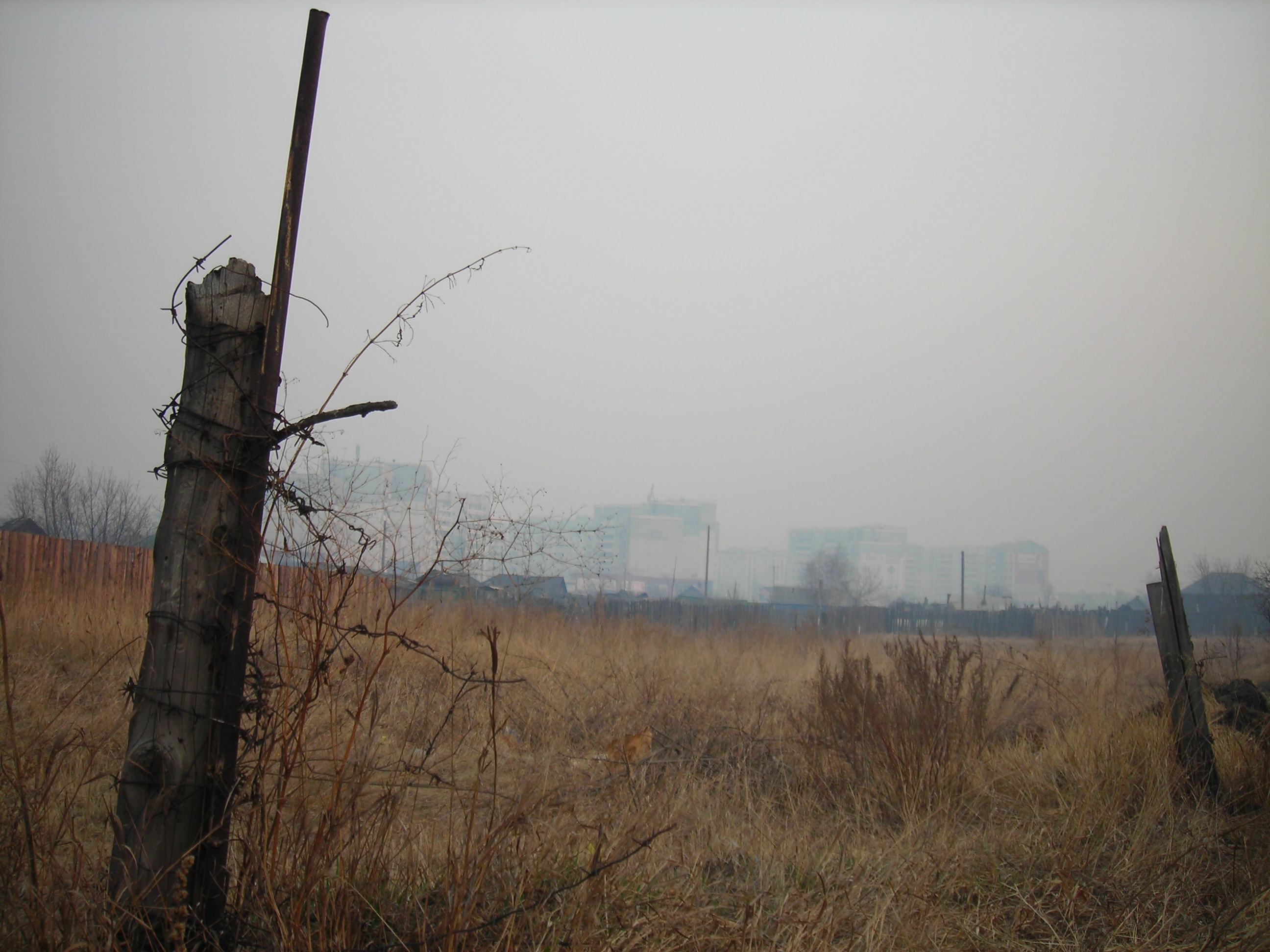 ещё один кадр с пикника на обочине от 01.05.13