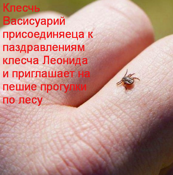 клесчь приглашает))))))))